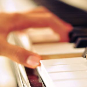 冈本视频黄页正版
