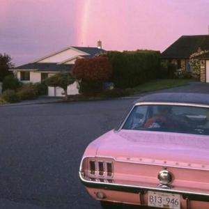 性一交一乱一优A片
