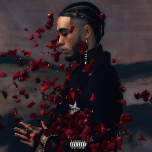 葉山さゆり无码影片
