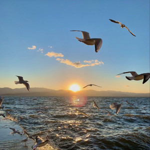 女人自慰🔞色情
