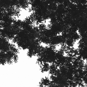 黄色网页在线播放
