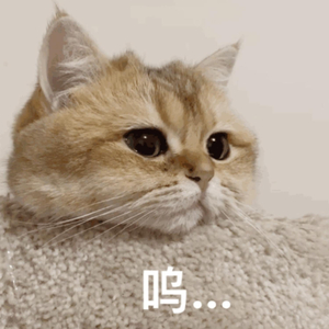 性一交一乱一优A片
