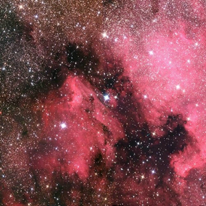 少妇自慰高潮出水
