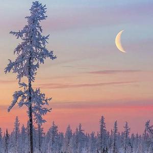 冈本视频黄页正版
