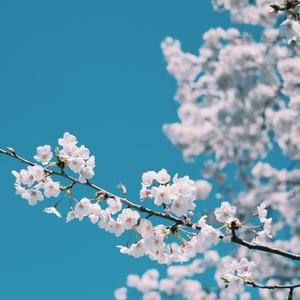 亚洲无码一二三区
