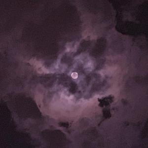 美女亲热网站二次
